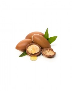 Argan aroma